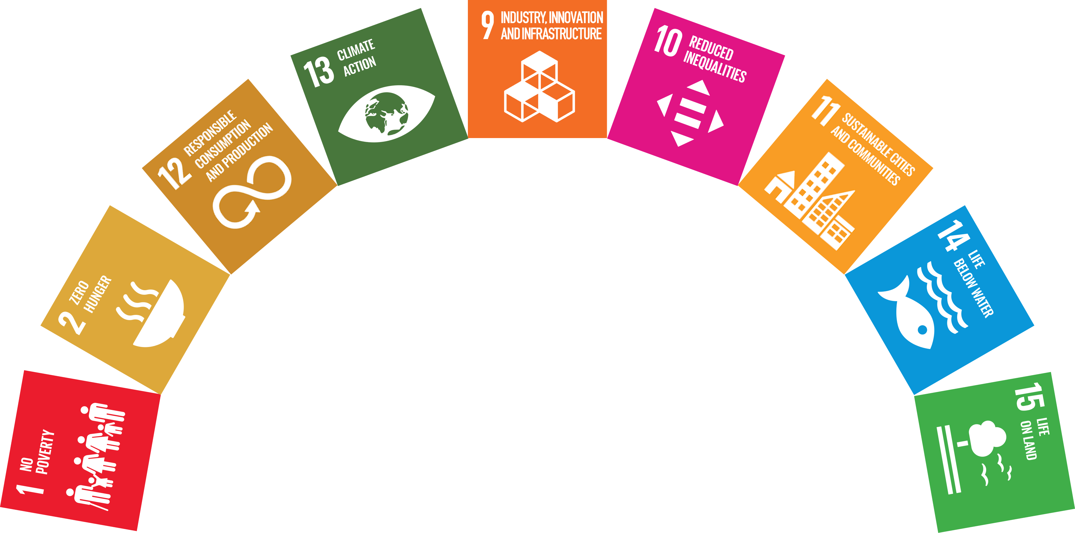 Impact SDG Arc